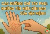 Các Đường Chỉ Tay Phụ: Những Tín Hiệu Kín Đáo Của Vận Mệnh (bài 10)