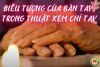Các Gò và Đường Chỉ Tay: Hướng Dẫn Giải Mã Vận Mệnh Toàn Diện (bài 9)