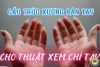 Cấu Trúc Xương Bàn Tay: Nền Tảng Giải Phẫu Cho Thuật Xem Chỉ Tay (bài 4)