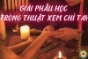 Cơ Bàn Tay và Cấu Trúc Gò: Cơ Sở Giải Phẫu Trong Thuật Xem Chỉ Tay (bài 5)