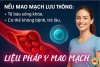 Hệ Thống Mao Mạch: Con Đường Nuôi Dưỡng Sự Sống Của Cơ Thể (bài 4)