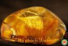 Hổ Phách (Amber): Ý Nghĩa, Lịch Sử và Tác Dụng Chữa Lành (bài 37)