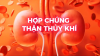Hợp Chứng Thận Thủy Khí (Bài 01)