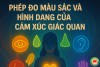 Phép Đo Màu Sắc, Hình Dạng và Giác Quan Của Cảm Xúc Trong EFT (bài 26)