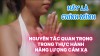 Trở Thành Chính Mình: Chìa Khóa Để Chữa Lành Bằng Năng Lượng Cảm Xạ