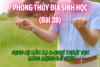 Dụng Cụ Cảm Xạ & Nghệ Thuật Đọc Năng Lượng Đất Trời (Bài 28)
