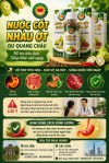 Bài 23. ỚT – HỖ TRỢ TIÊU HÓA TỪ GÓC NHÌN Y HỌC