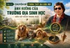 Bài 42: PHONG THỦY CẢM XẠ ĐỊA SINH HỌC