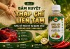 Bài 05: Thập Chỉ Liên Tâm Căn Bản