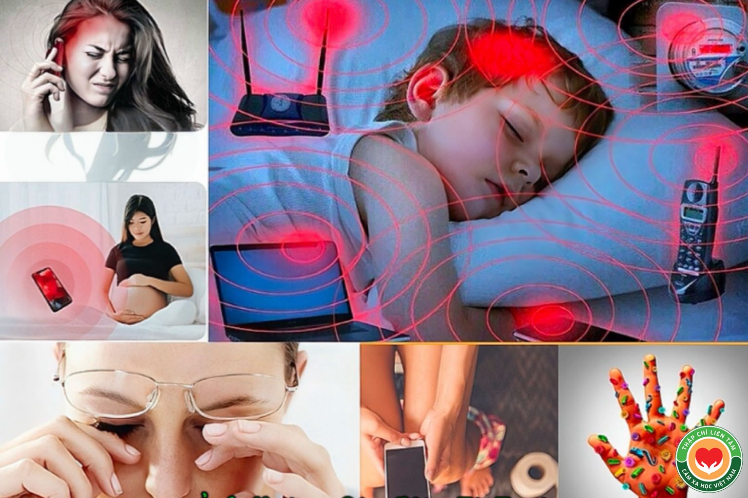 Ảnh Hưởng Của Môi Trường Đến Sức Khỏe: Góc Nhìn Từ Địa Sinh Học (bài 7)