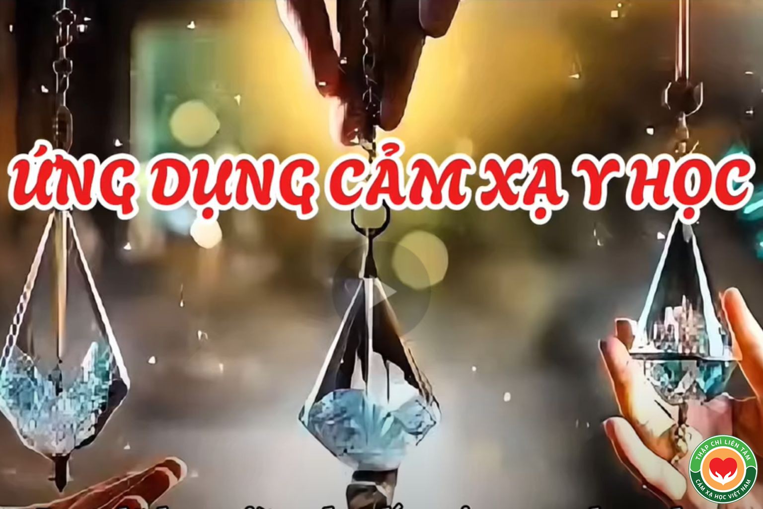 Cảm Xạ Y Học: Hệ Thống Hóa Kiến Thức Khoa Học Hiện Đại (bài 4)
