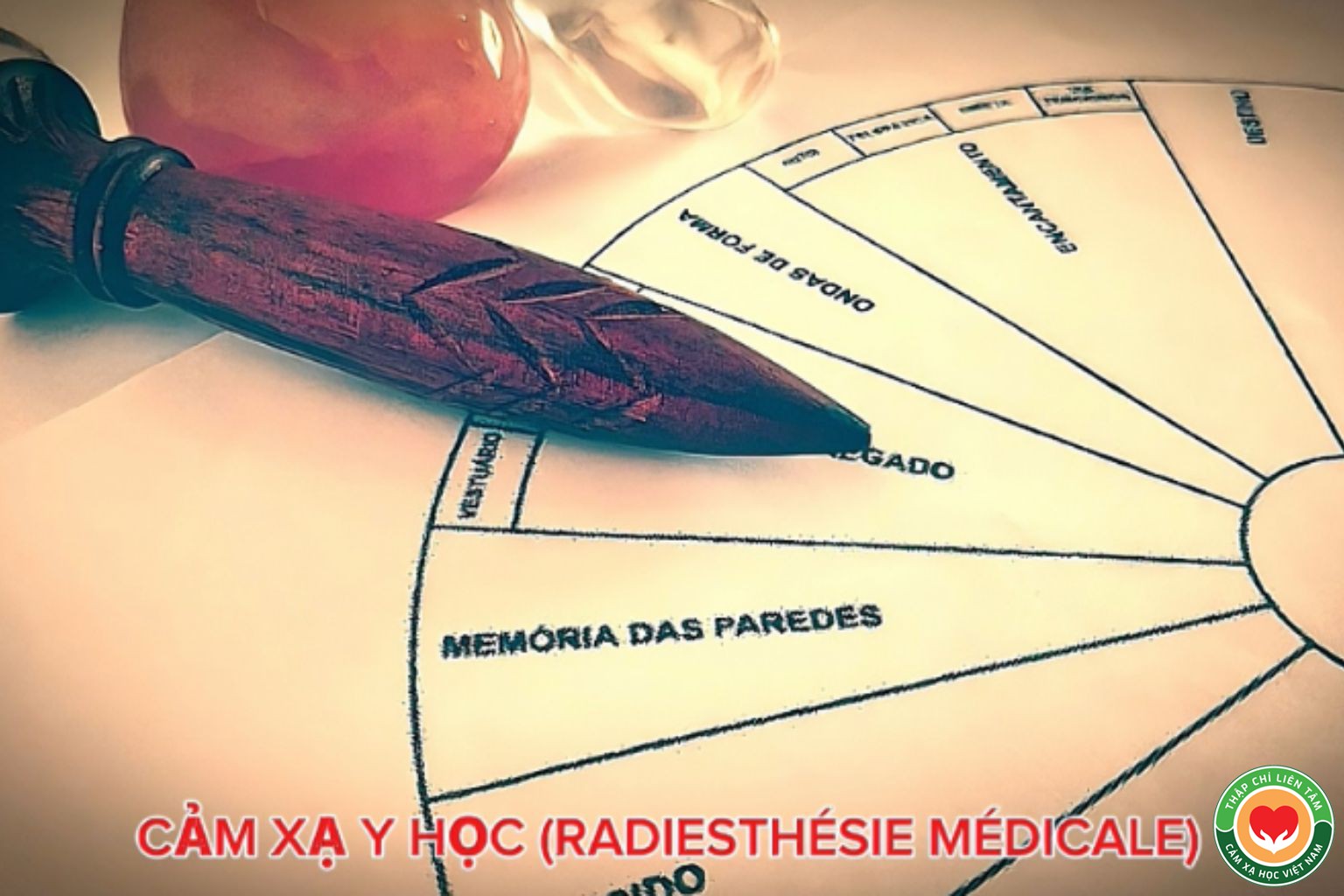 Cảm Xạ Y Học (Radiesthésie Médicale): Lý Thuyết & Ứng Dụng (bài 1)