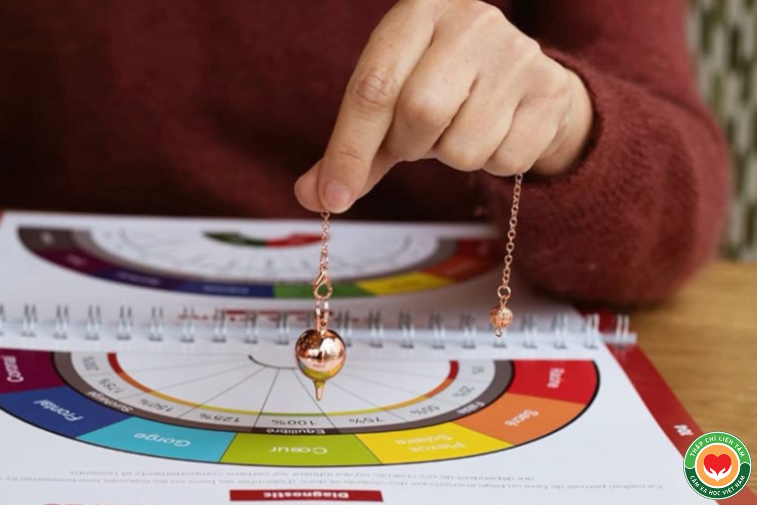 Cảm Xạ Y Học và Quy Tắc Bovis: Hướng Dẫn Đo Năng Lượng Sức Khỏe (bài 14)