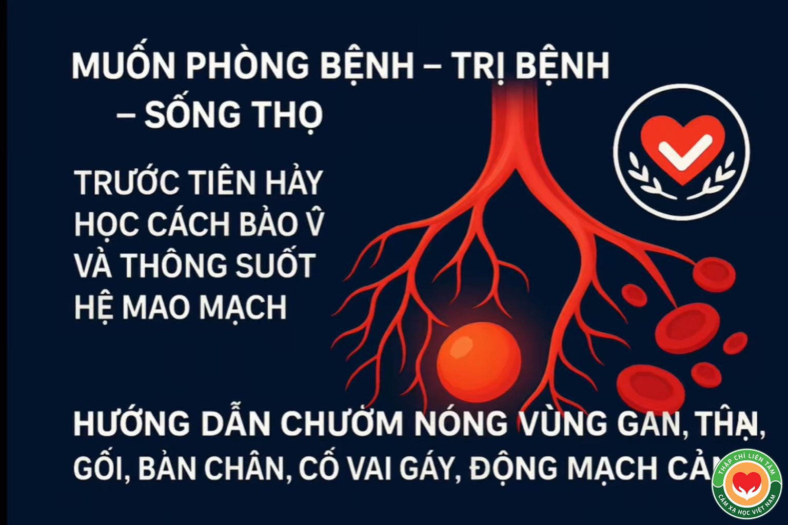 Cặp Đá Diệu Kỳ: Hướng Dẫn Chườm Nóng Toàn Thân (Gan, Thận, Gối...) (bài 11)