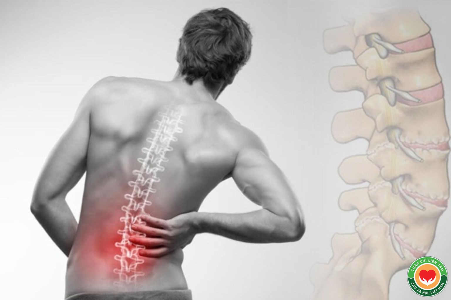 Chọn Giày Đúng Cách Để Chữa Đau Lưng Hiệu Quả (bài 7)