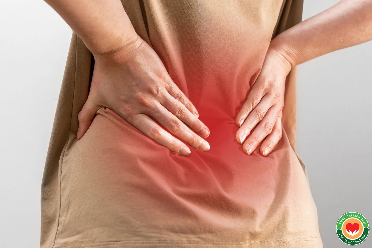 Chữa Đau Lưng: Cách Đúng Và Sai Lầm Thường Gặp Cần Tránh (bài 10)