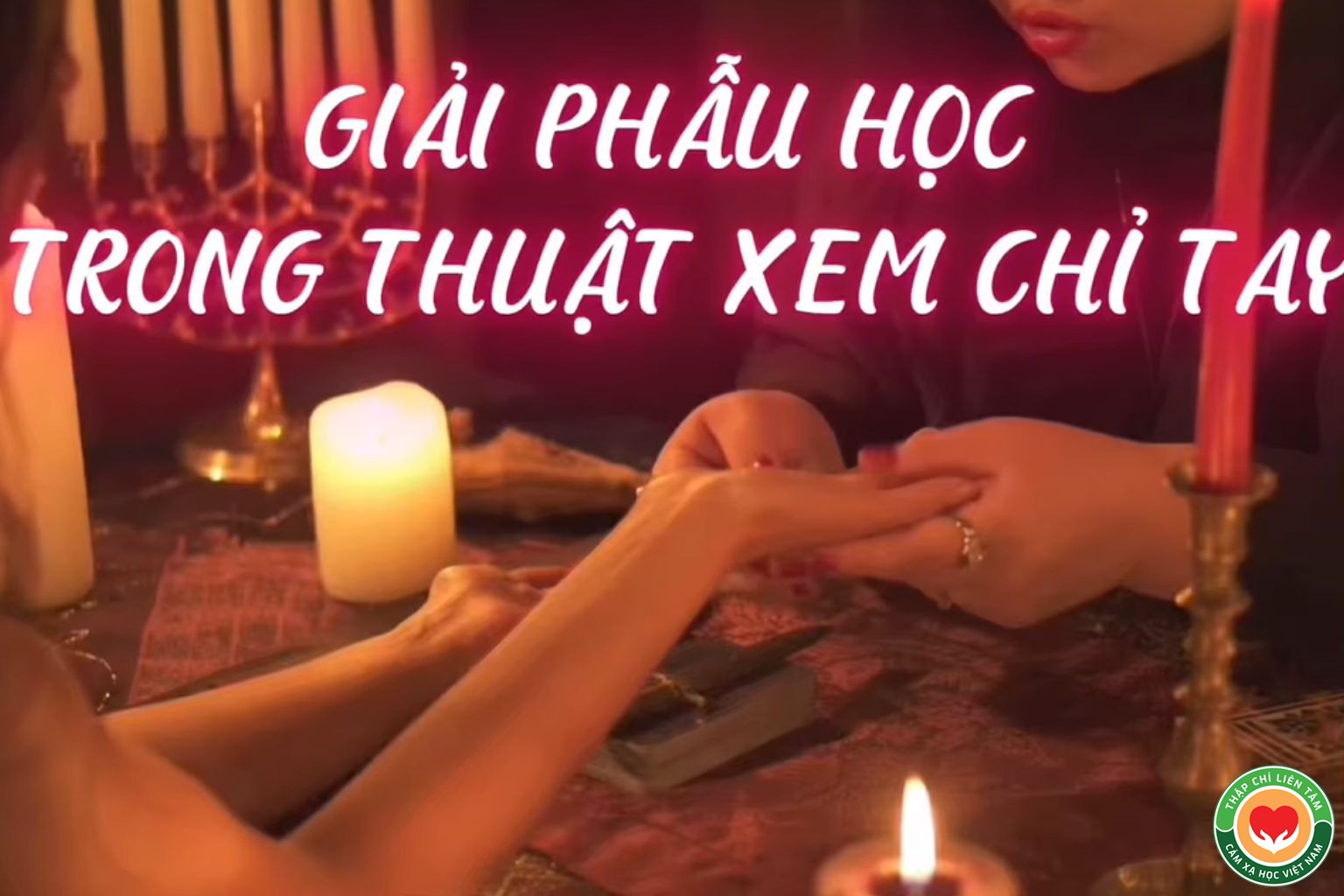 Cơ Bàn Tay và Cấu Trúc Gò: Cơ Sở Giải Phẫu Trong Thuật Xem Chỉ Tay (bài 5)