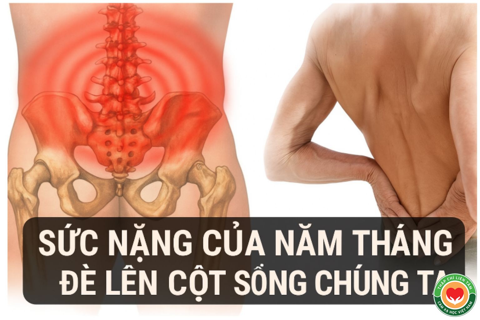 Đau Lưng Do Tuổi Tác và Mất Cân Bằng Cơ Thể: Nguyên Nhân & Cách Phòng Ngừa (bài 11)