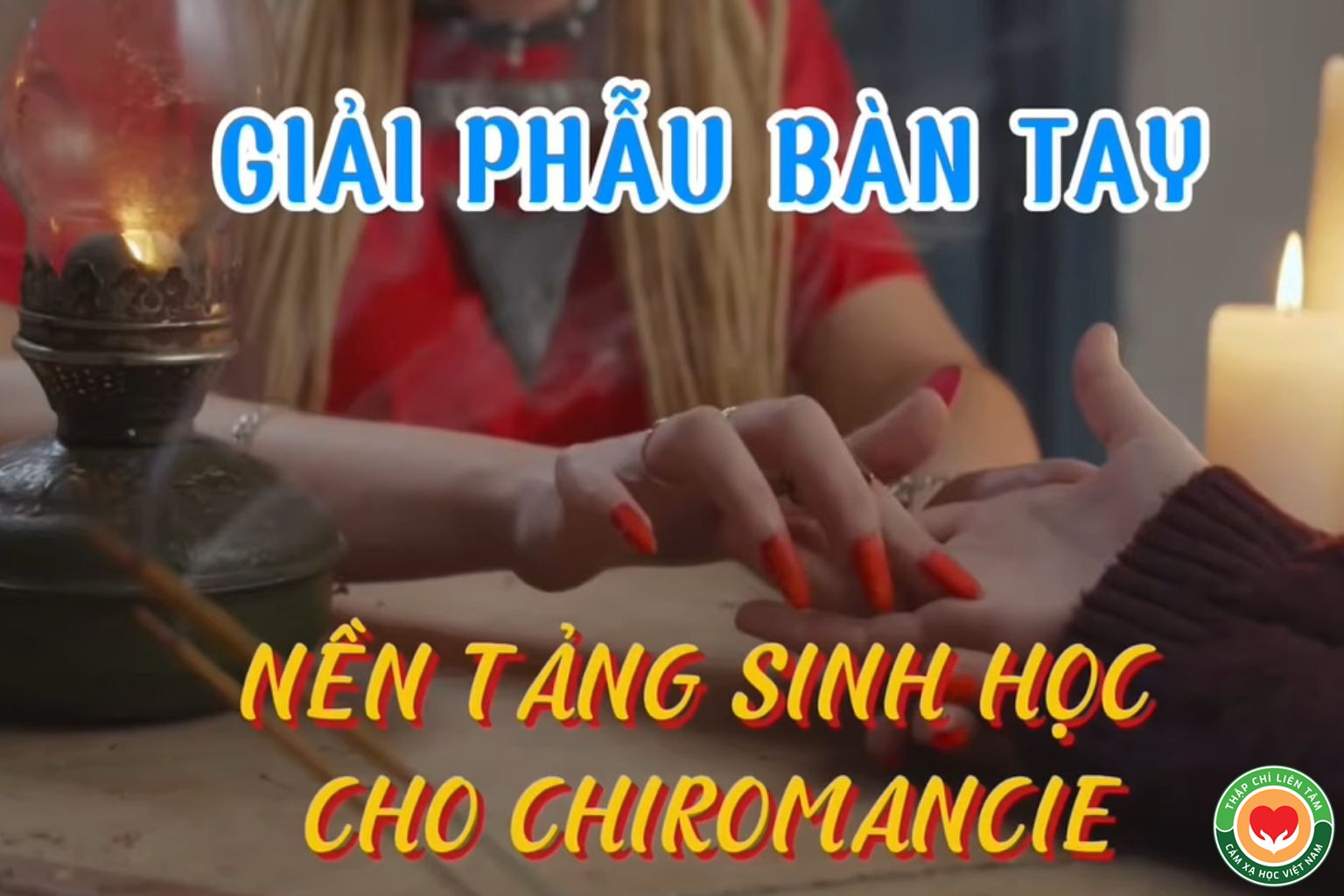 Giải Phẫu Bàn Tay: Nền Tảng Sinh Học Của Thuật Xem Chỉ Tay (Chiromancie) (bài 3)
