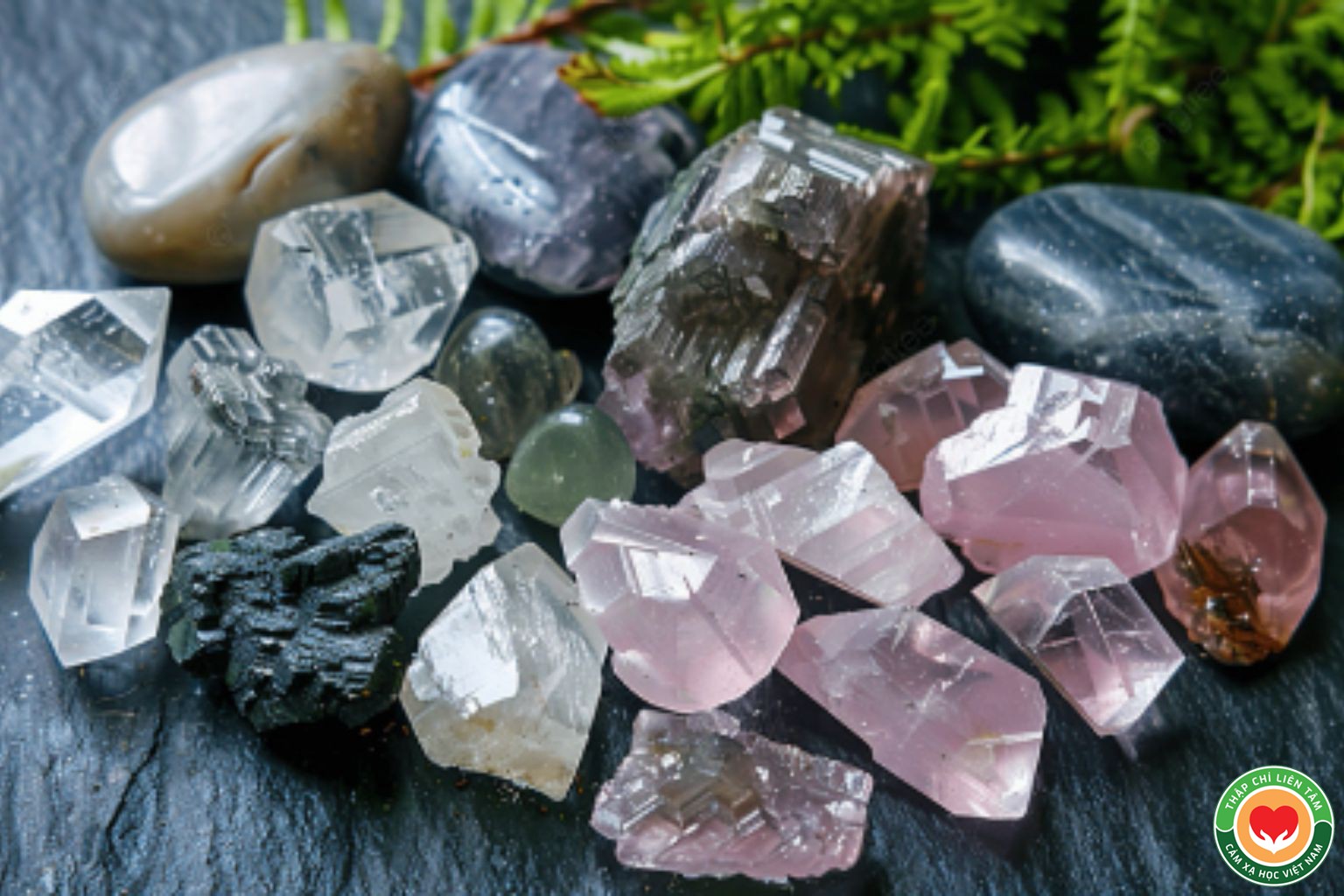 huong dan tu tao cleanergy thu cong bang vat lieu tu nhien (1)