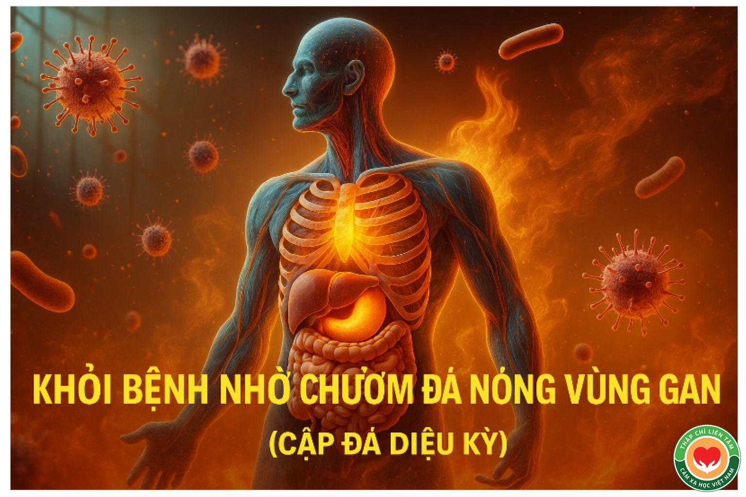 Khỏi Bệnh Nhờ Chườm Đá Nóng Vùng Gan (Cặp Đá Diệu Kỳ): Báo Cáo Thực Tế (bài 7)