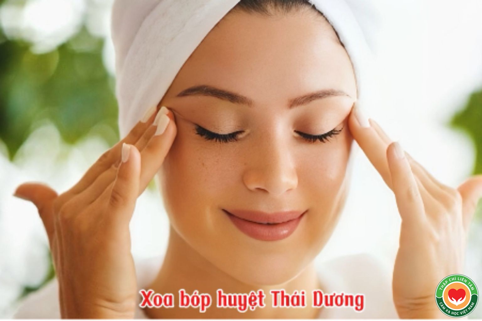 Massage Huyệt Thái Dương: Bí Quyết Cải Thiện Sức Khỏe Não Bộ & Mắt (bài 3)