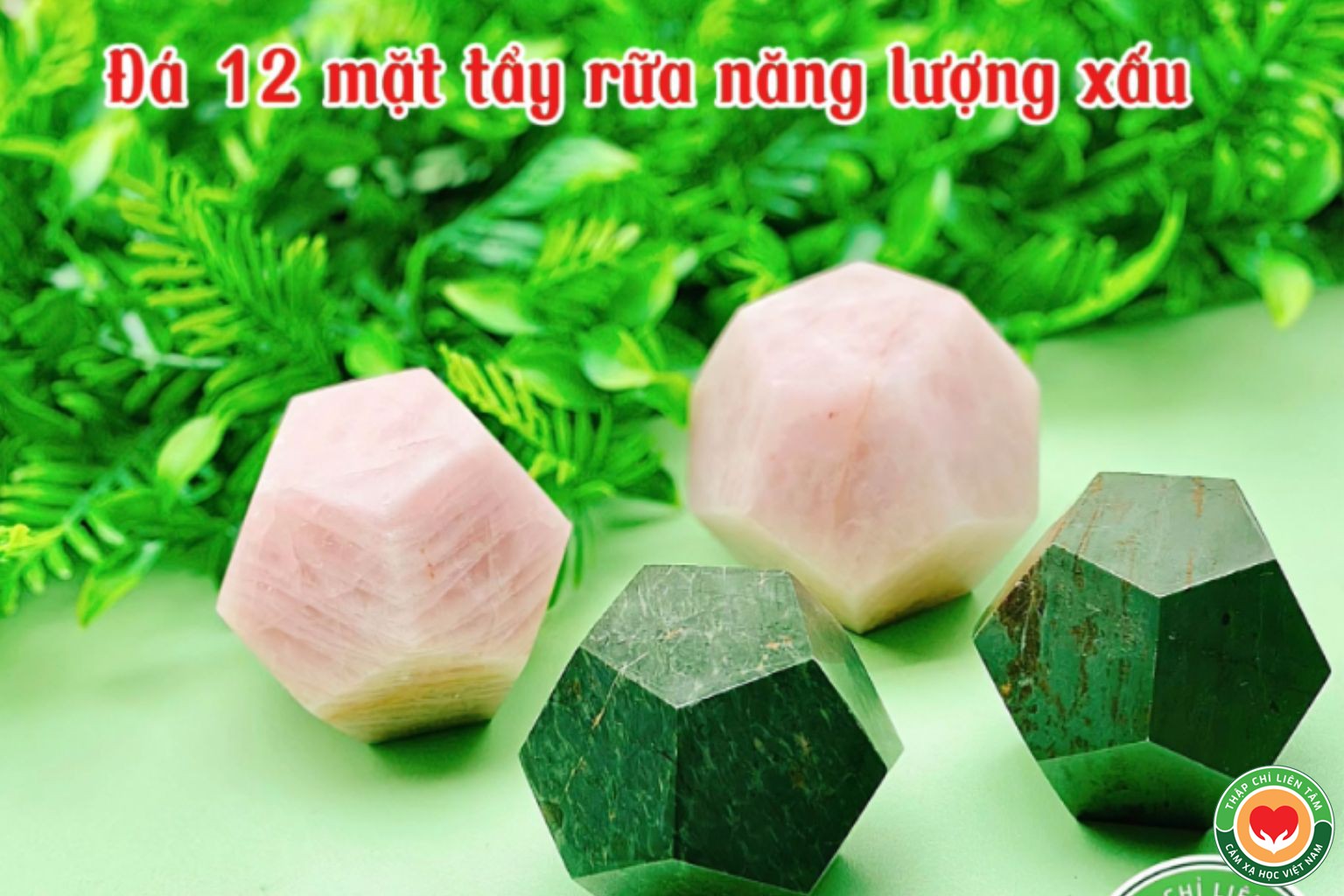 Năng Lượng Cảm Xạ Trong Liệu Pháp Địa Sinh Học: Từ Văn Phòng Đến Kinh Doanh (bài 8)