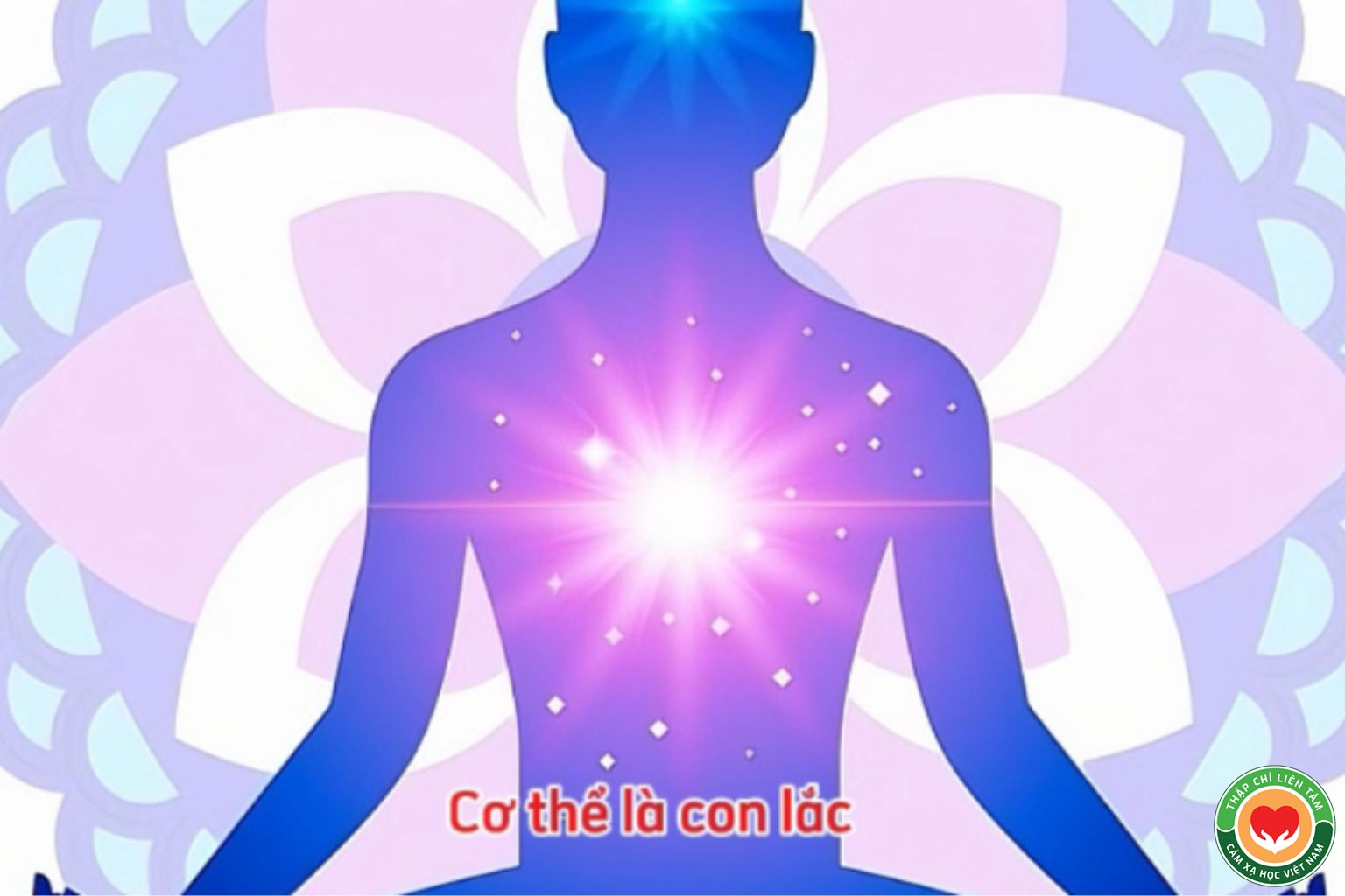 Năng Lượng Đất & Sự Sinh Trưởng Của Thực Vật (bài 5)