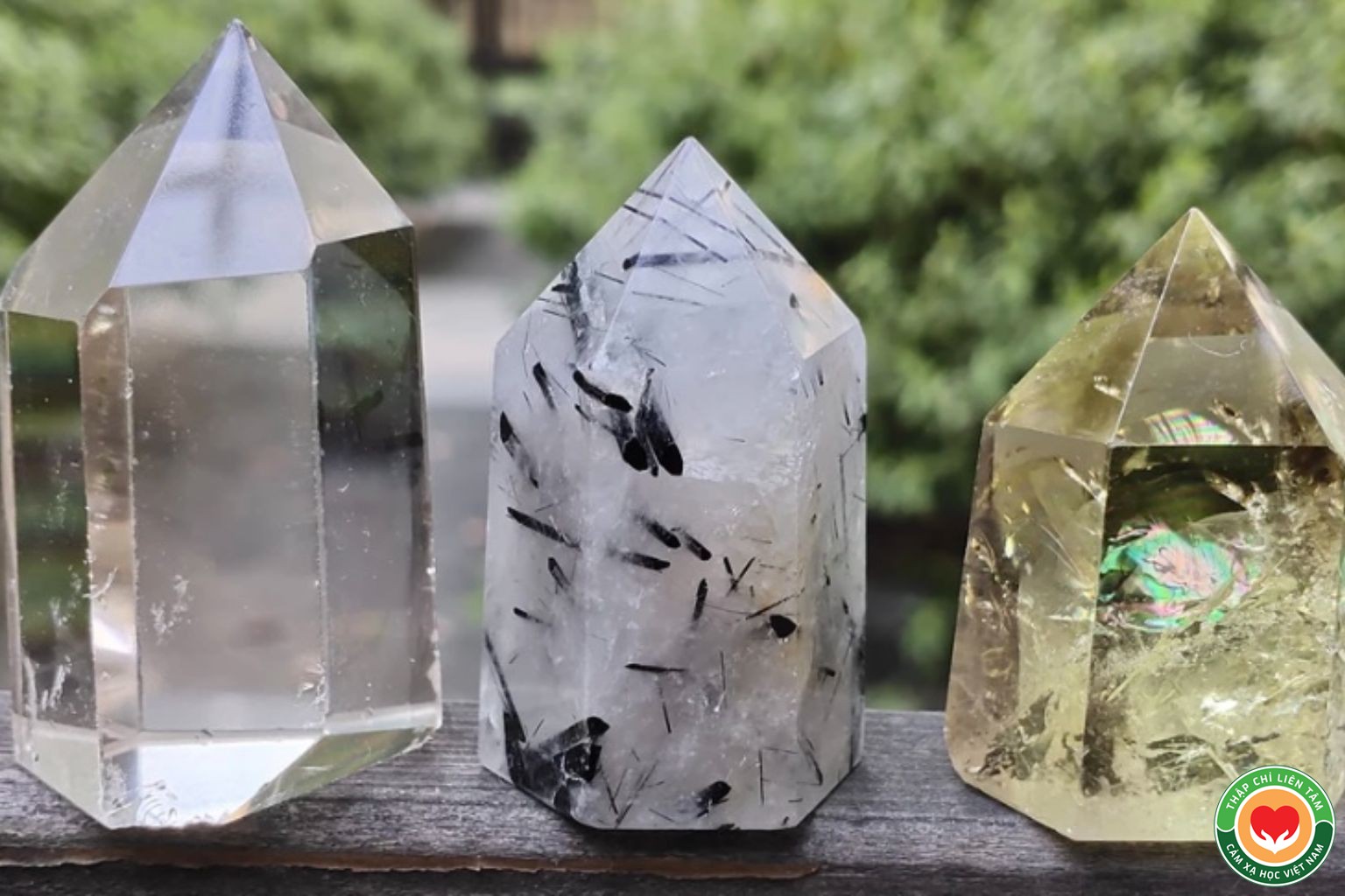 Năng Lượng Sóng Hình Dạng: Phân Tích Âm Dương Trong Tinh Thể Thạch Anh (bài 11)