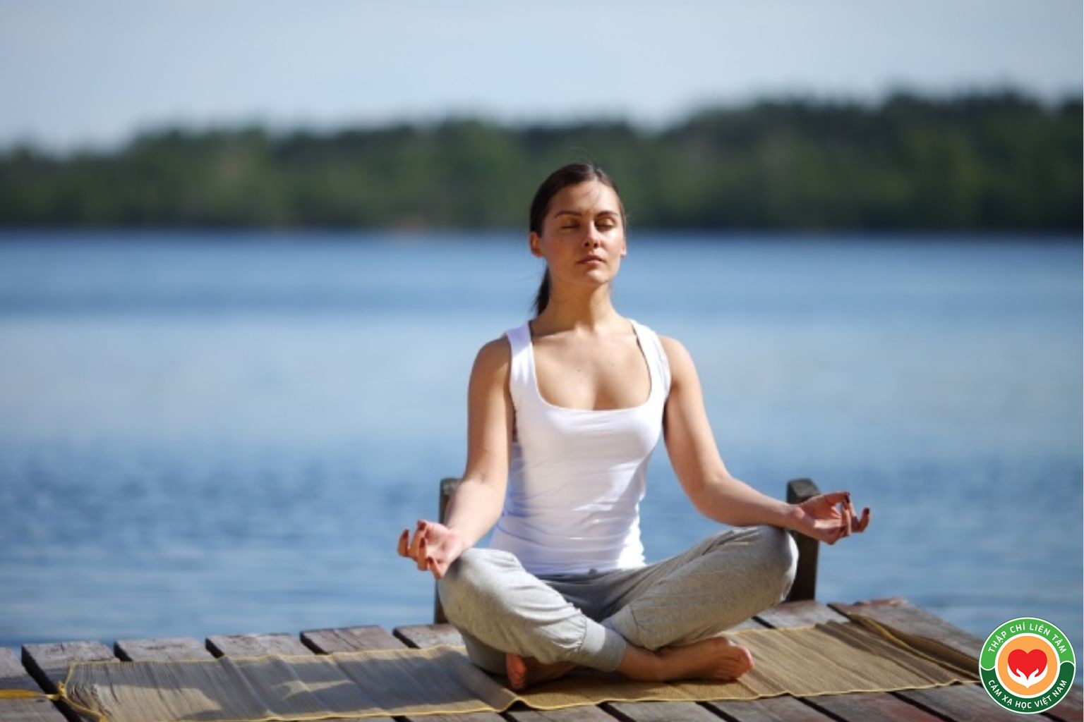 Nhận Diện Cảm Xúc: Hiểu Đúng Để Chữa Lành (bài 2)