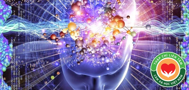 THÔI MIÊN CĂN BẢN