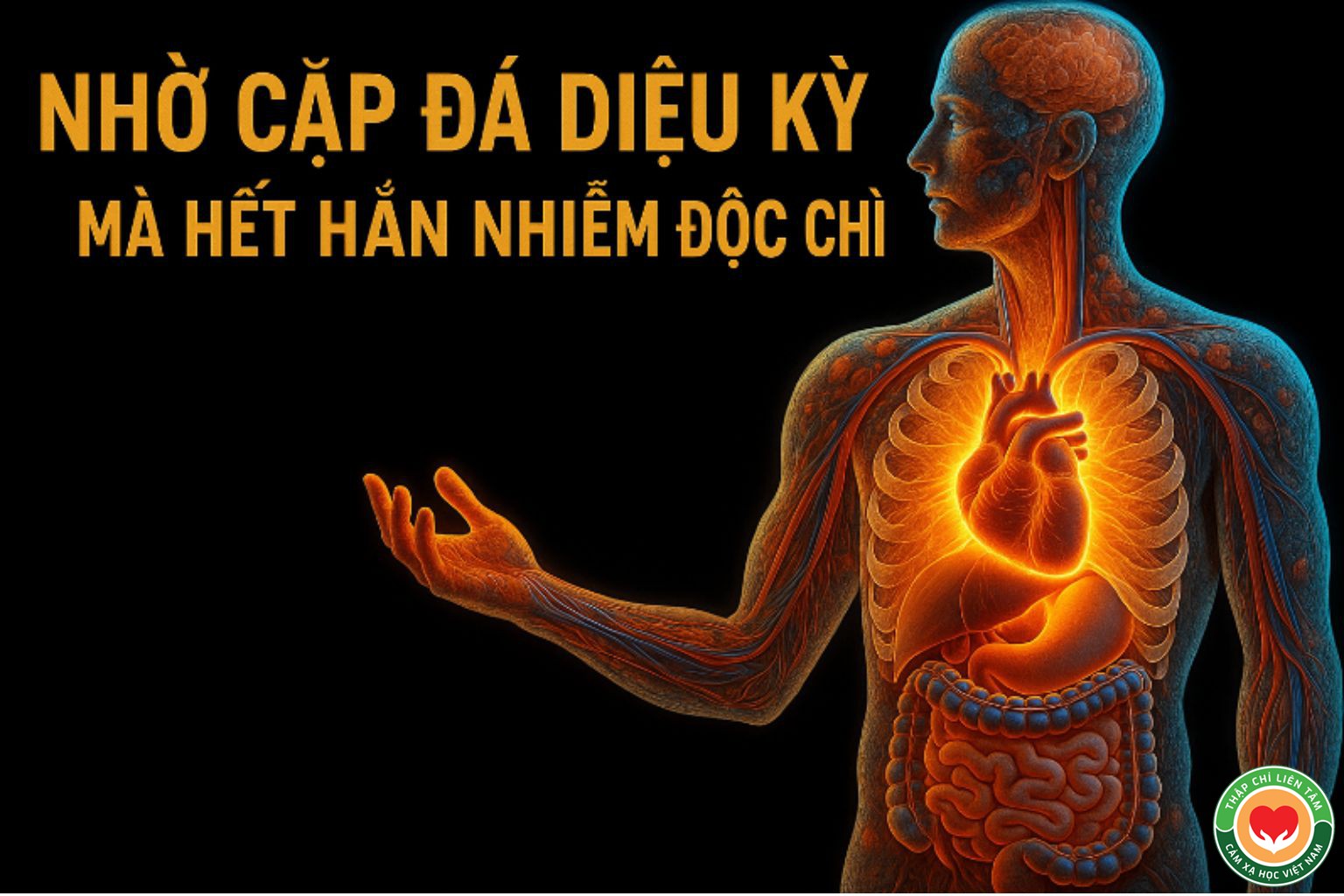 Phép Màu Của Cặp Đá Diệu Kỳ: Câu Chuyện Chữa Lành Nhiễm Độc Chì (bài 10)