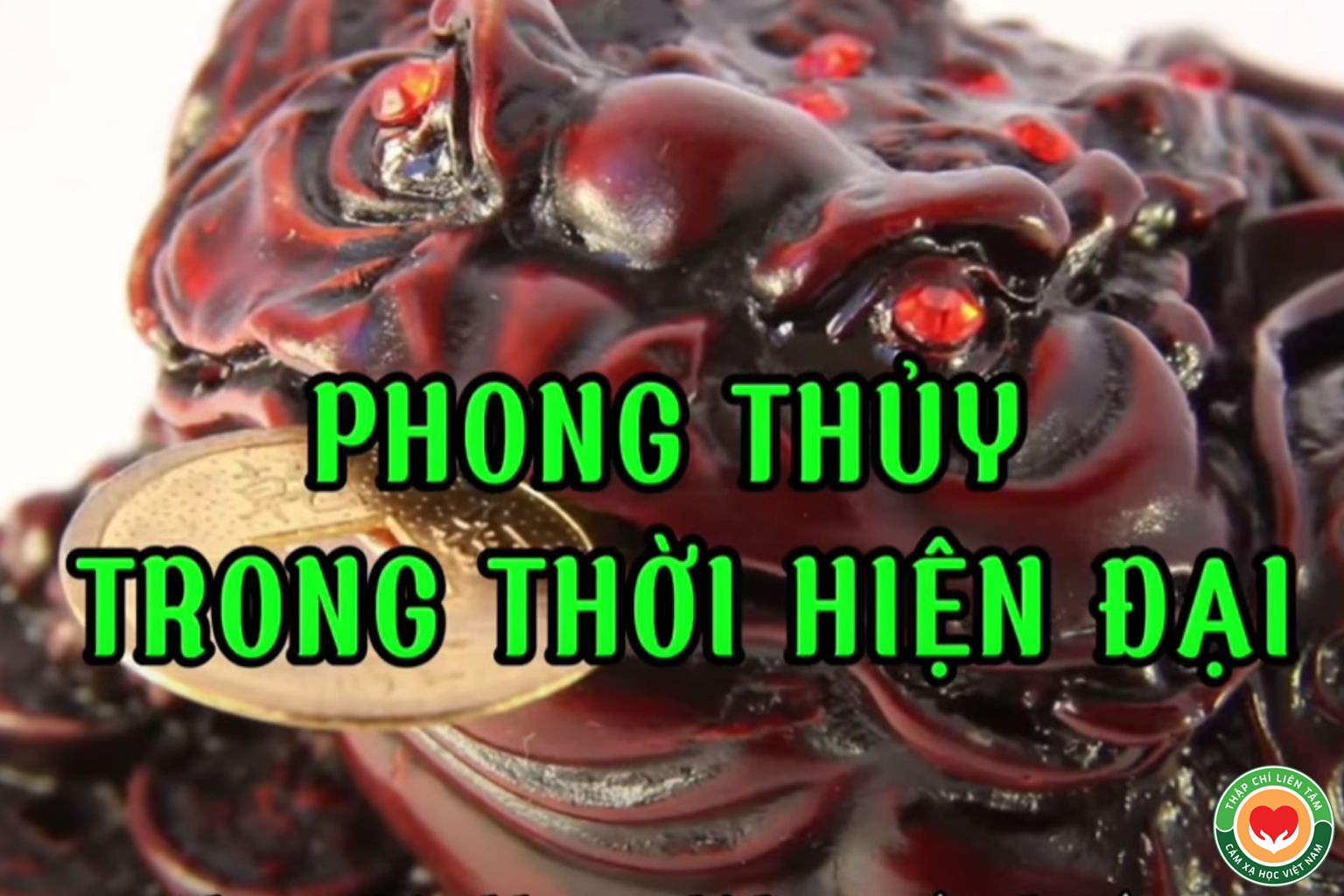 phong thuy trong thoi hien dai tu feng shui den domotherapie subtile (1)