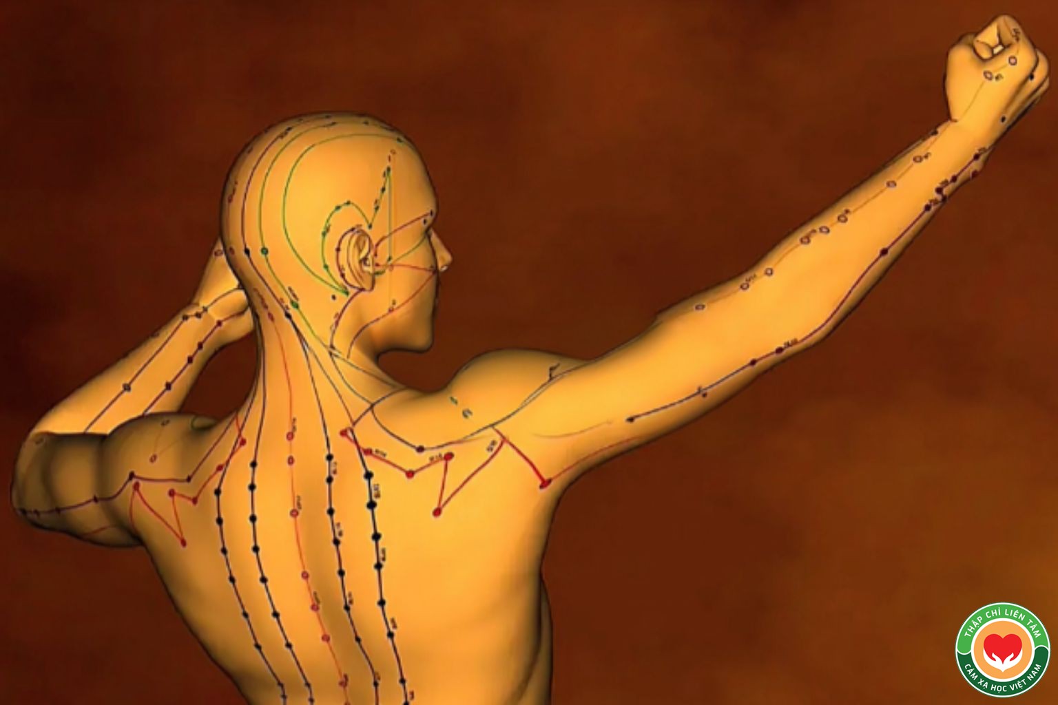 Shiatsu Là Gì? Bí Quyết Bấm Huyệt Không Dùng Thuốc Từ Nhật Bản (bài 1)