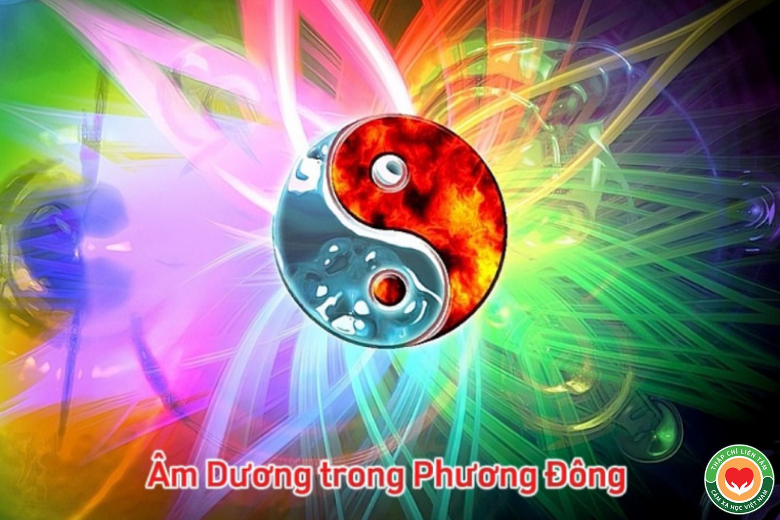 Shiatsu: Nghệ Thuật Cân Bằng Âm Dương và Duy Trì Sức Khỏe (bài 2)