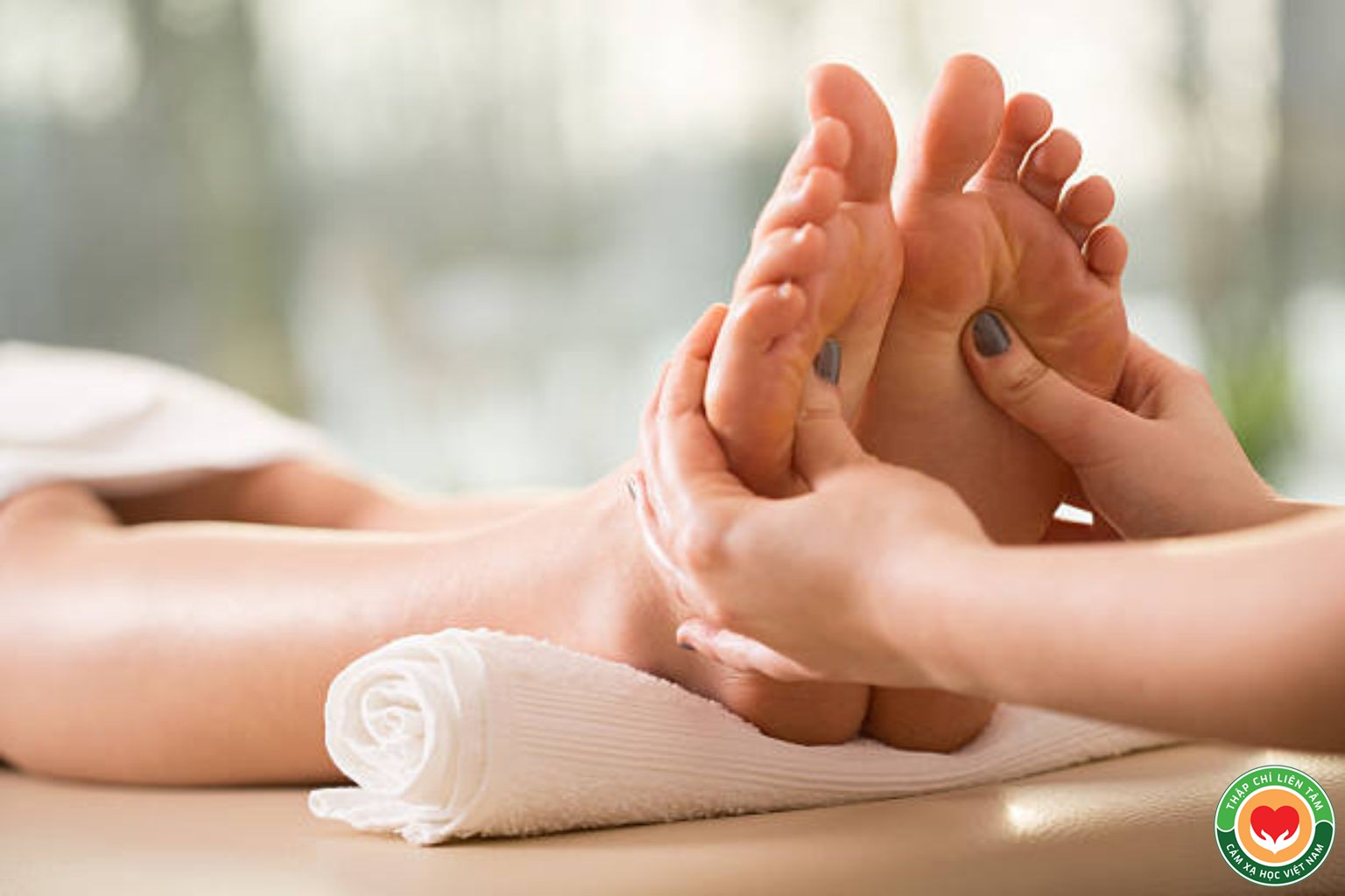 Shiatsu Tác Động Lòng Bàn Chân: Hướng Dẫn Thực Hành Chi Tiết (bài 11)