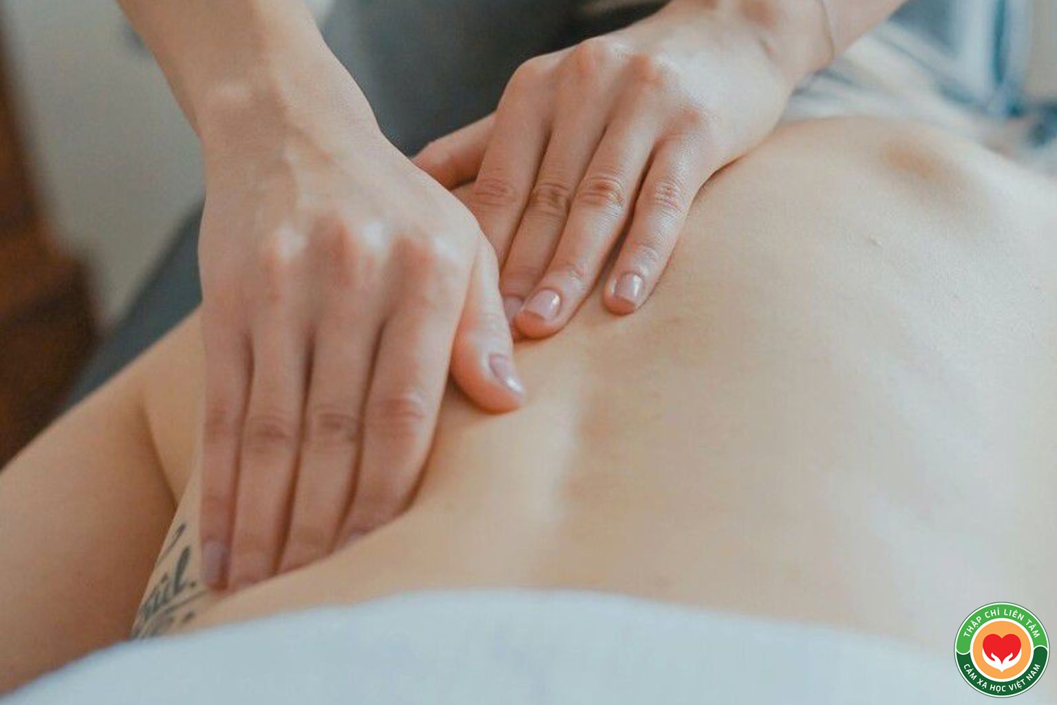 Shiatsu Tự Mình: Hướng Dẫn Tác Động Lên Lưng Dưới và Bụng Trên (bài 6)