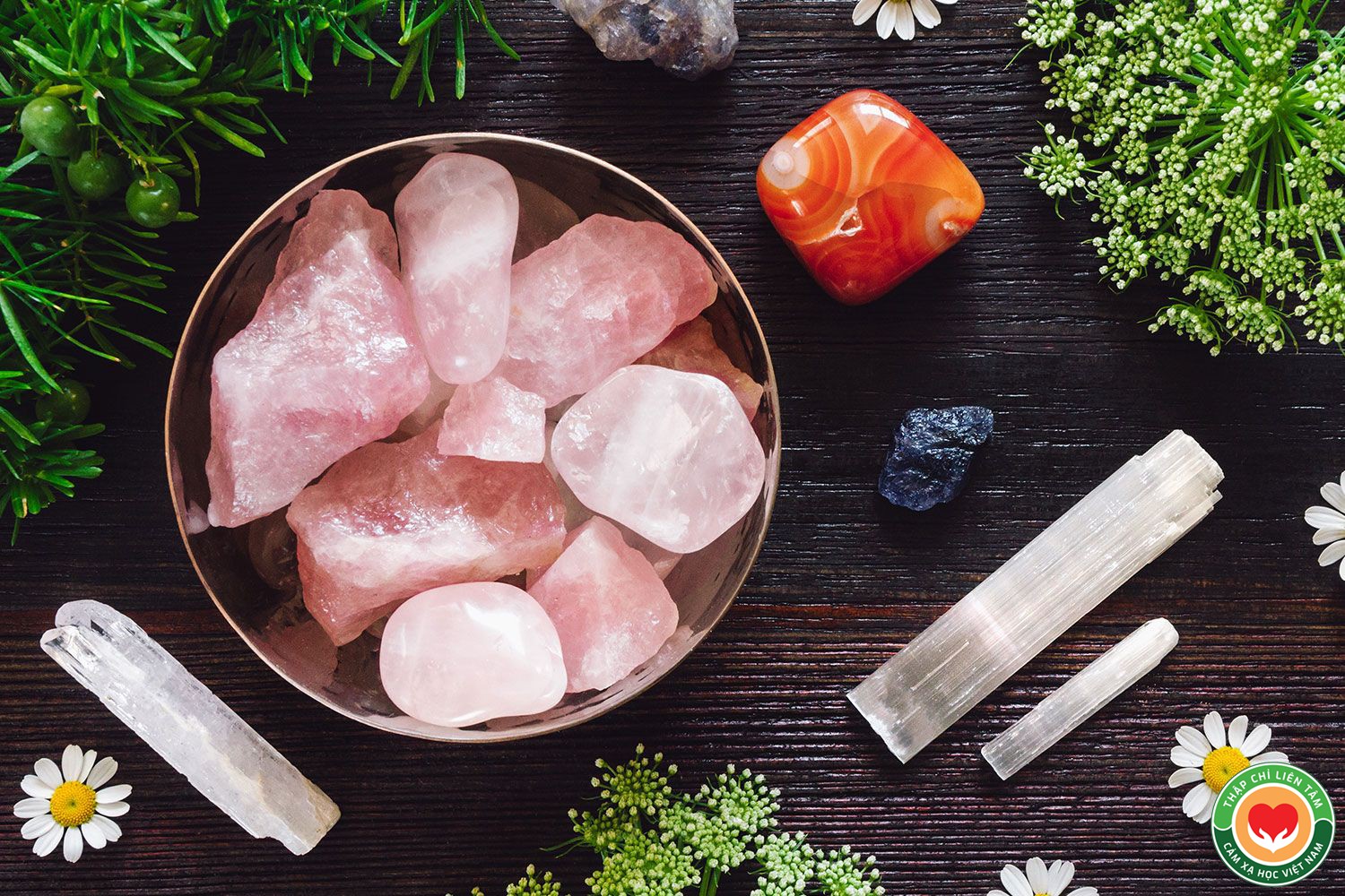 Năng Lượng Sóng Hình Dạng: Sức Mạnh Từ Tinh Thể Thạch Anh và Đá Quý (bài 10)