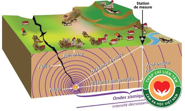 Cảm Xạ Học: Định Nghĩa, Lịch Sử Và Ứng Dụng Trong Đời Sống (bài 1)