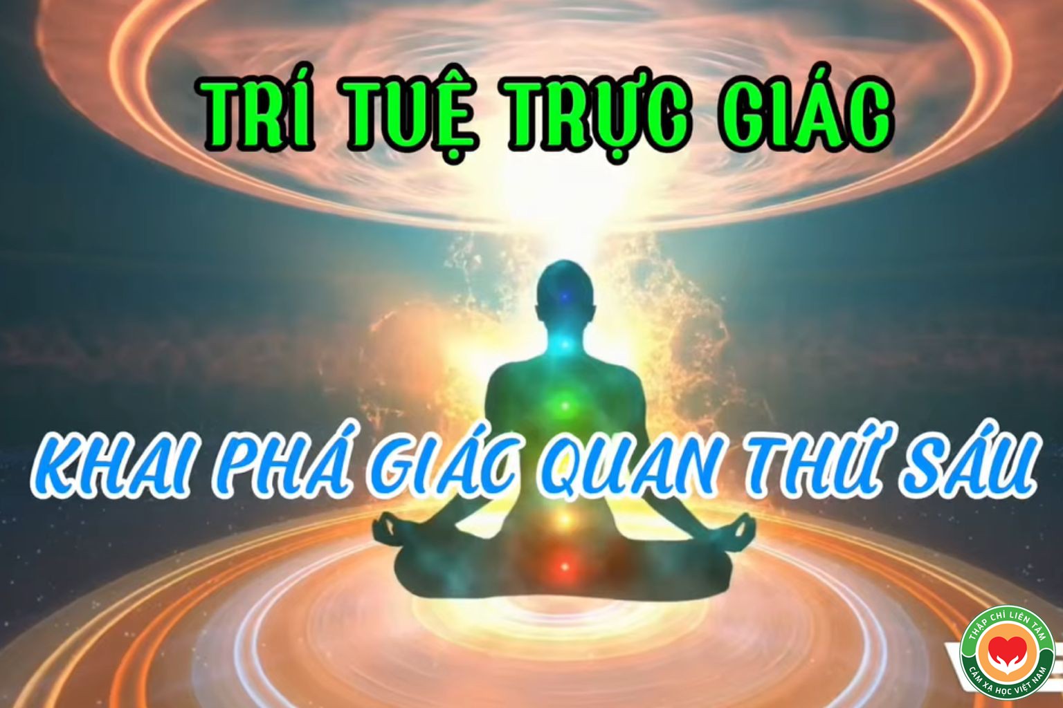 tri tue truc giac (1)