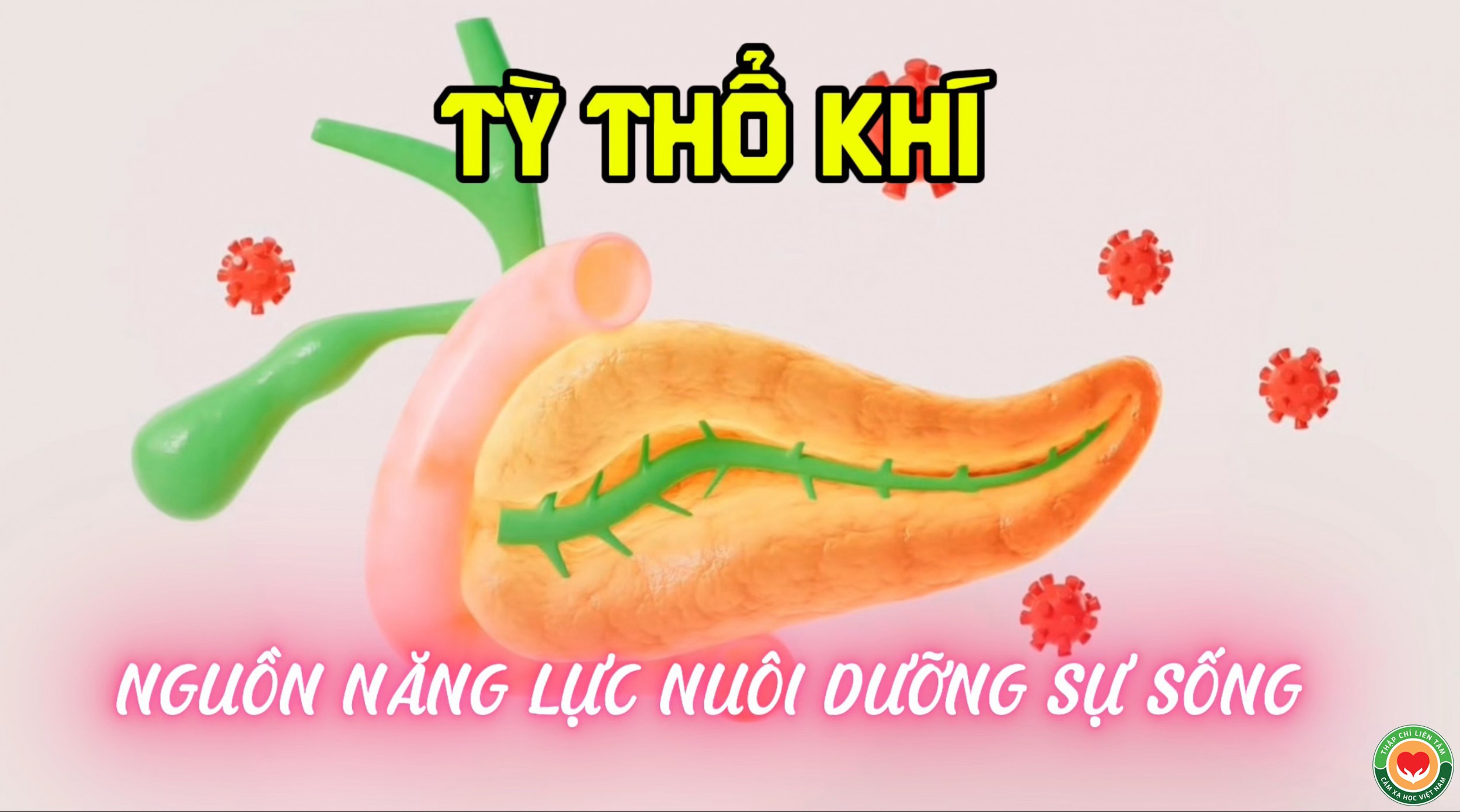 TỲ THỔ KHÍ (Bài 01)