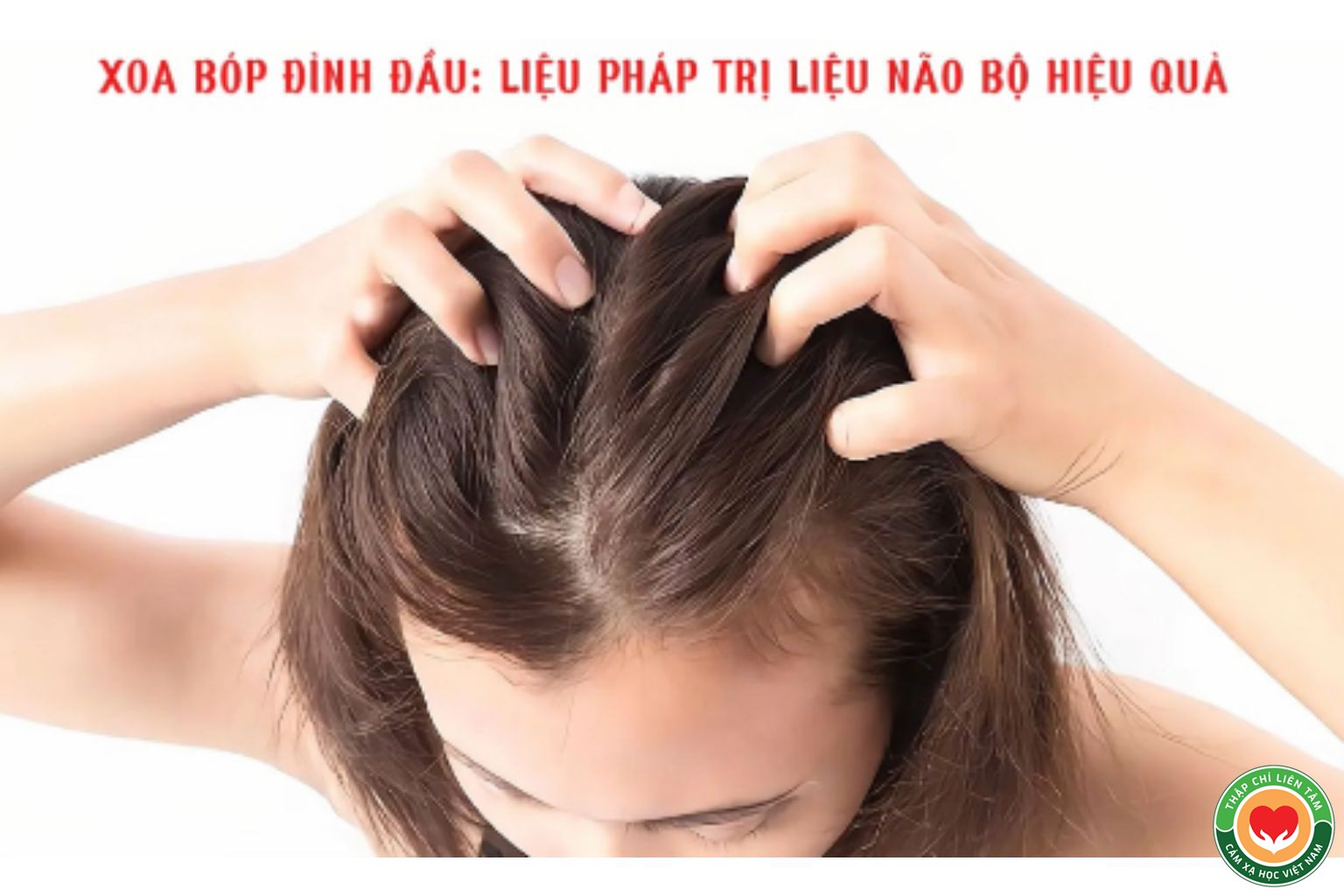 Xoa Bóp Đỉnh Đầu: Liệu Pháp Trị Liệu Não Bộ Hiệu Quả & Dễ Thực Hiện (bài 2)