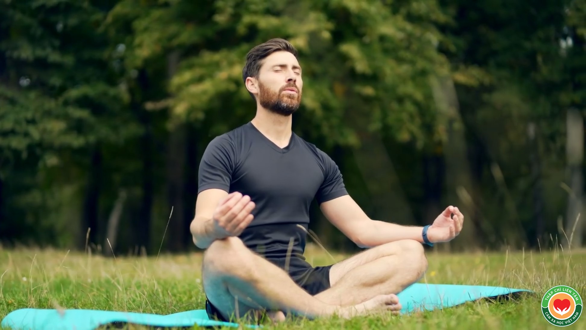 Sức Mạnh Của Tĩnh Tâm: Nền Tảng Chữa Lành Thể Chất Và Tinh Thần