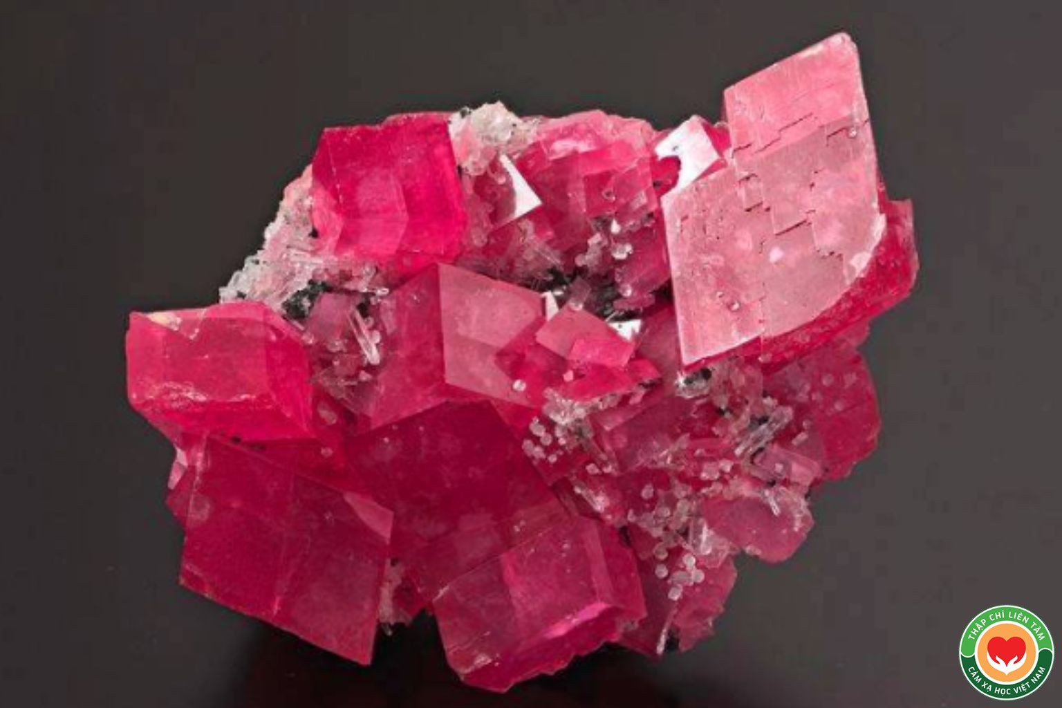 Đá Hồng Ngọc Mangan (Rhodochrosite): Ý Nghĩa, Tác Dụng và Ứng Dụng (bài 91)