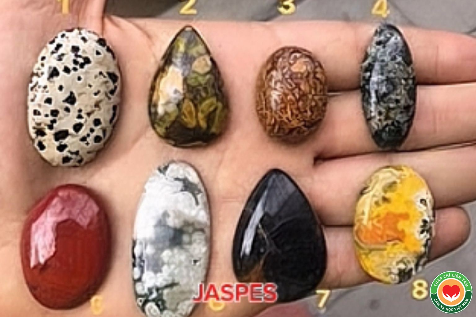 Đá Jasper (Ngọc Thạch): Ý Nghĩa, Các Loại và Ứng Dụng (bài 69)