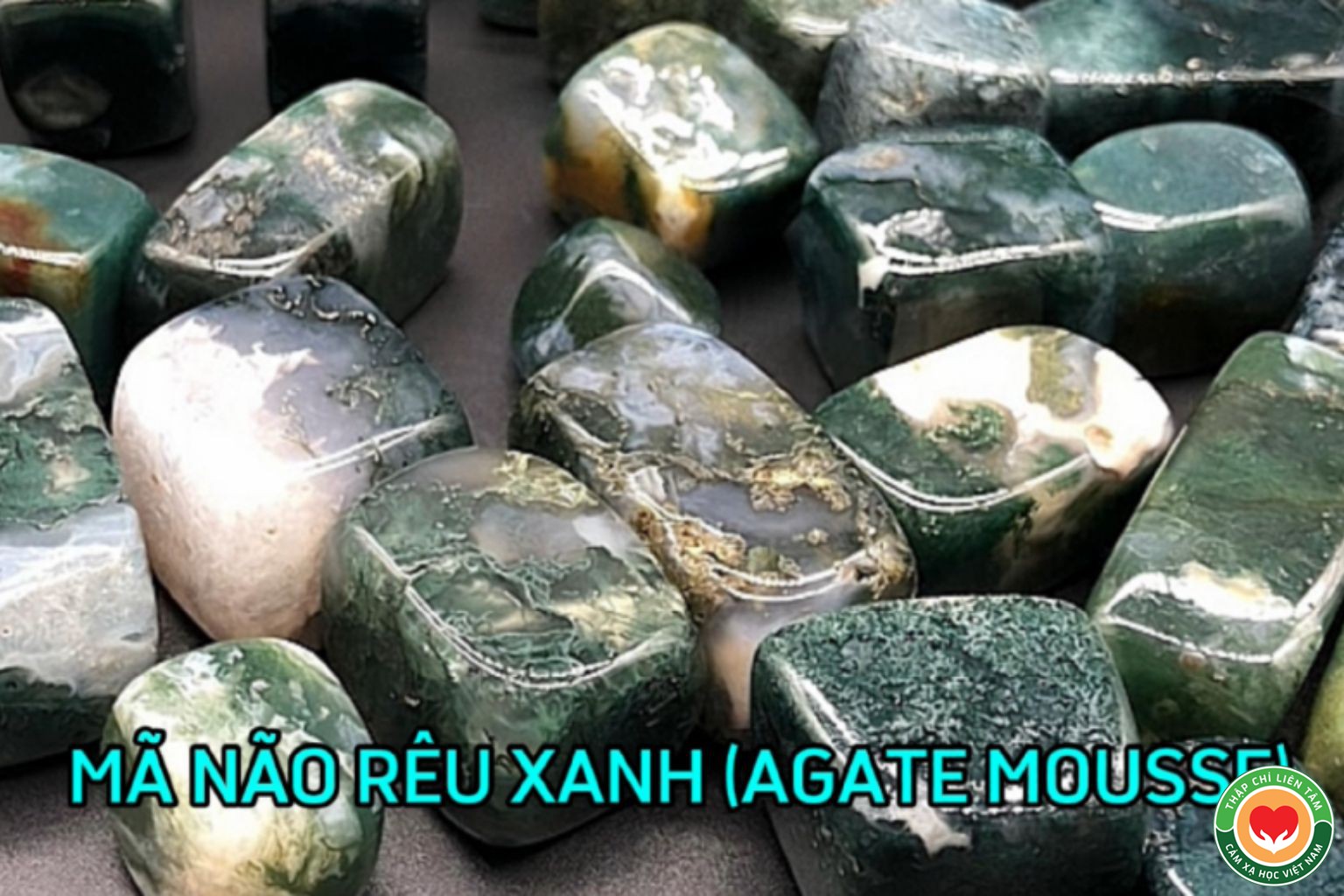 Đá Mã Não Rêu (Agate Mousse): Tác Dụng và Ý Nghĩa Trong Thạch Trị Liệu (bài 34)