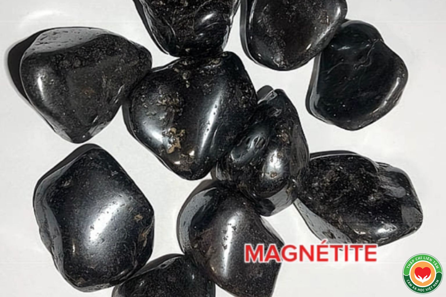 Đá Magnetite: Ý Nghĩa, Tác Dụng và Ứng Dụng Trong Thạch Trị Liệu (bài 77)