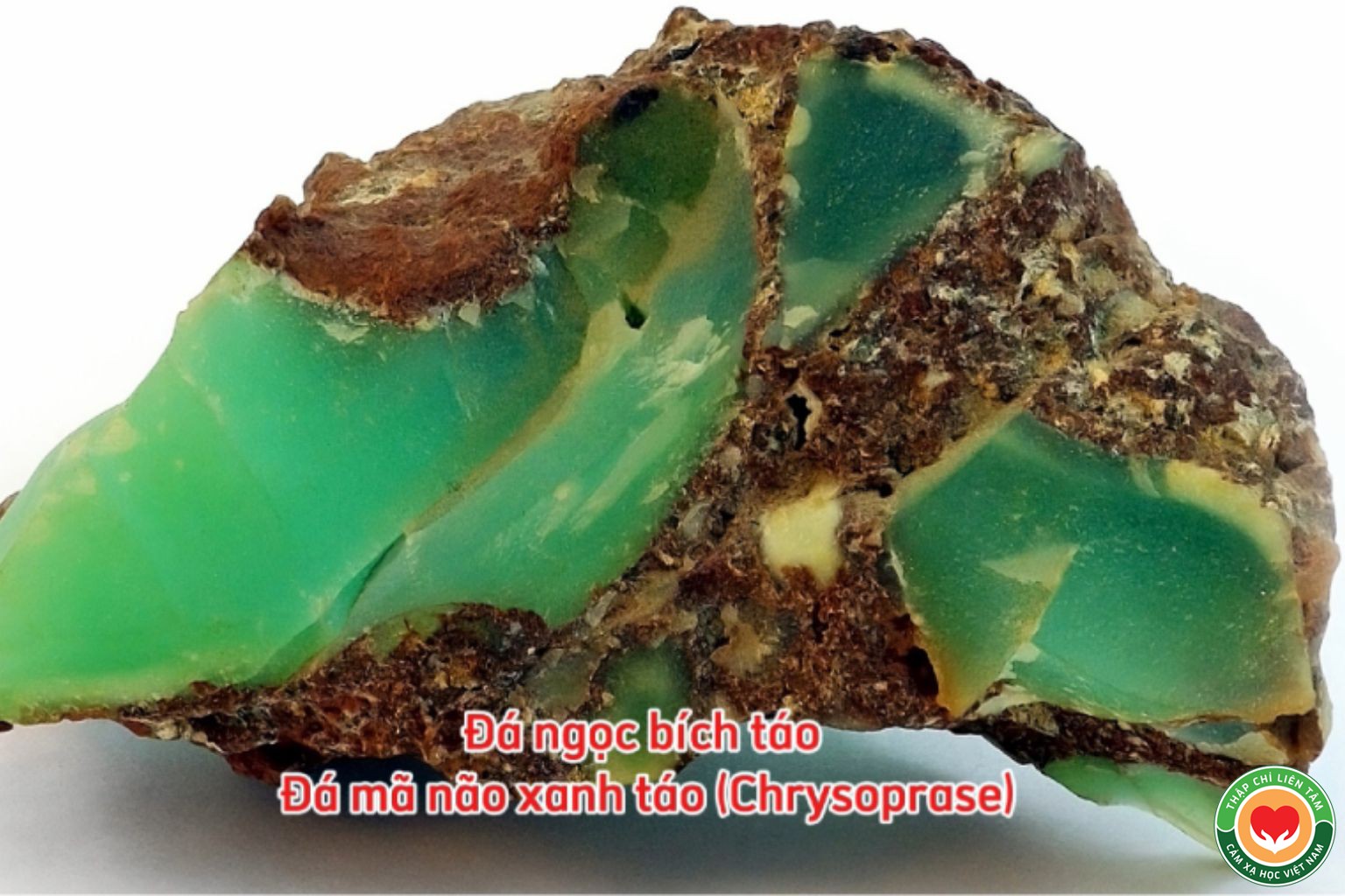 Đá Ngọc Bích Táo (Chrysoprase): Ý Nghĩa, Tác Dụng và Ứng Dụng (bài 49)