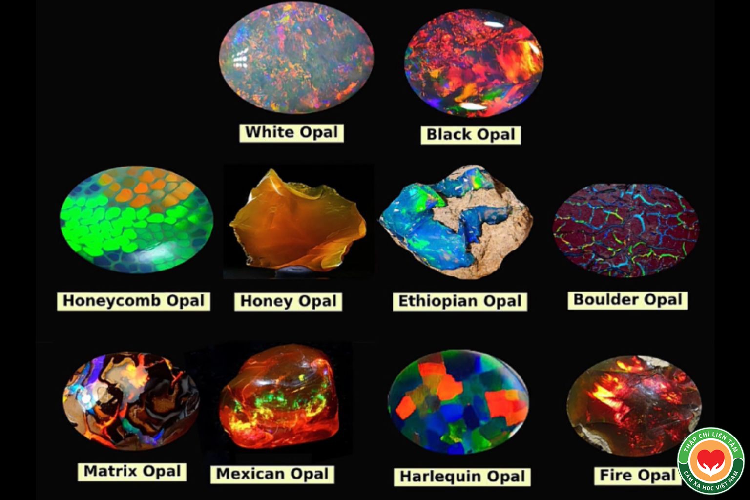 Đá Opal Lửa (Fire Opal): Ý Nghĩa, Tác Dụng và Ứng Dụng (bài 83)