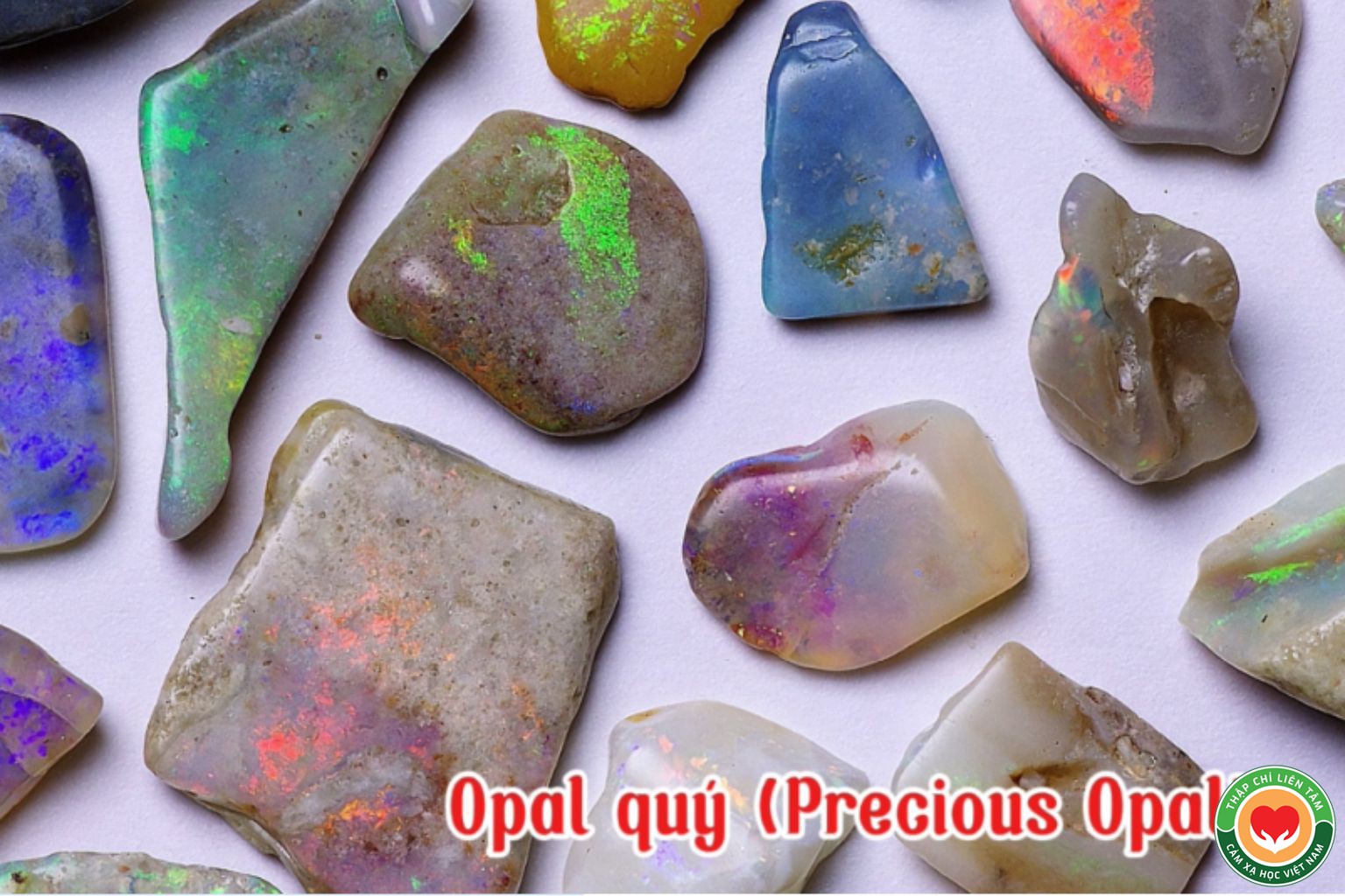 Đá Opal Quý (Precious Opal): Biểu Tượng Của Sự Kiên Định và Trung Thực (bài 84)